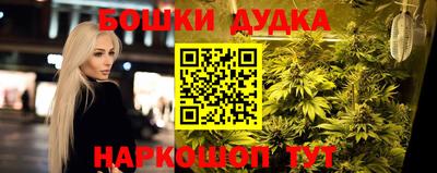 шишки Краснознаменск