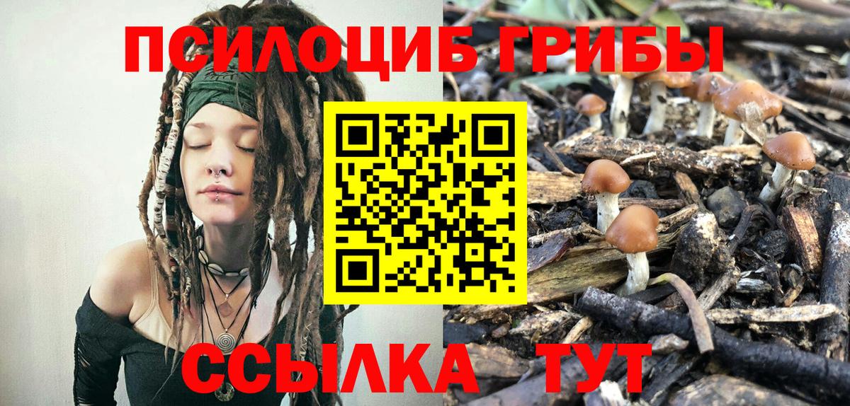 Псилоцибиновые грибы Psilocybe  Галлюциногенные грибы Psilocybe  Вход с VPN  закладки  Балтийск 